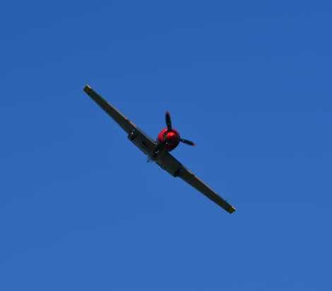 Yak-52 warbird flying overhead during an aerobatic maneuver against a clear blue sky.