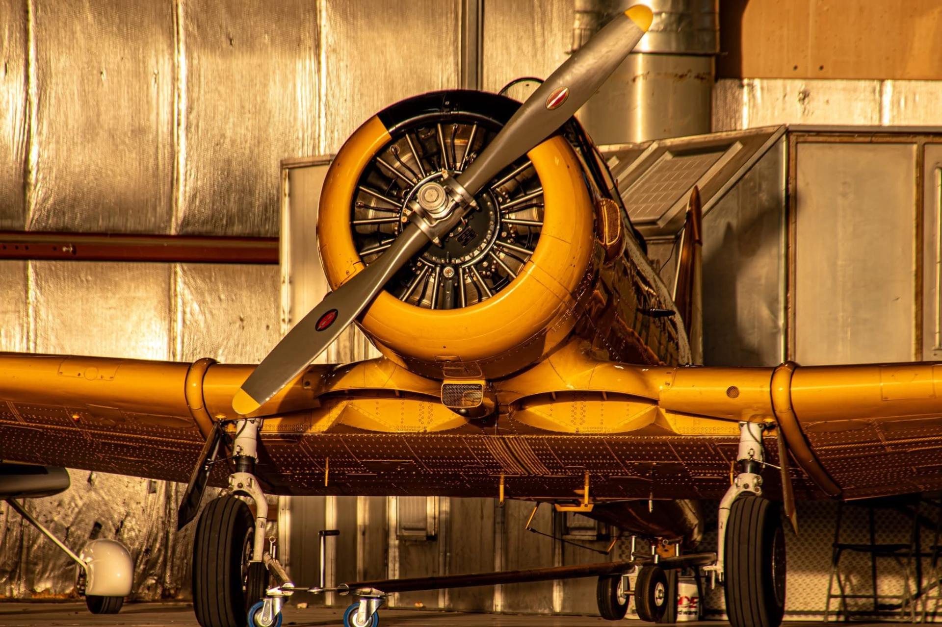 Front view of a vintage yellow T-6 Texan aircraft inside a hangar, showing its radial engine, propeller, and landing gear under warm lighting.